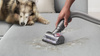 Dyson Ball Animal 3 vacuum